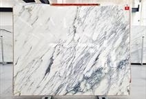 Calacatta White